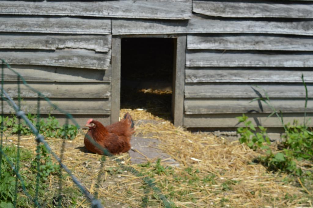 Au Passage Des Grues Bed & Breakfast Drosnay Exterior photo